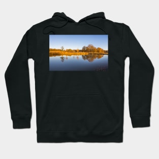 Leg of Mutton Pond in Richmond Park Hoodie